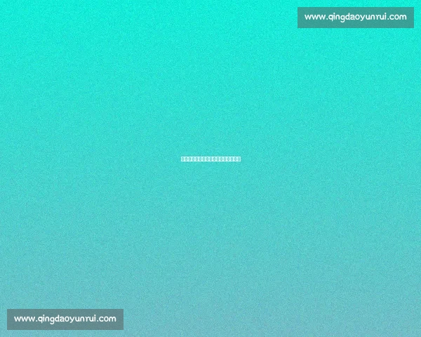 篮球明星的选秀故事：改变命运的一天